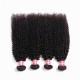 【12A 2PCS】Top related Merula Virgin Malaysian kinky curly Human Hair Beautiful Weave Hair 2 Bundles lot 【12A 2PCS】Top related Merula Virgin Malaysian kinky curly Human Hair Beautiful Weave Hair 2 Bundles lot
